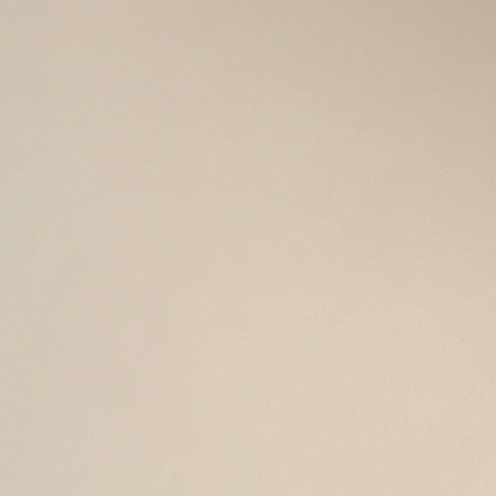 Meet your Posher, Laylani